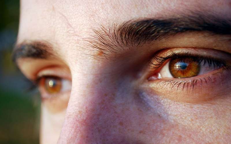 Как определить шизофреника по глазам: признаки